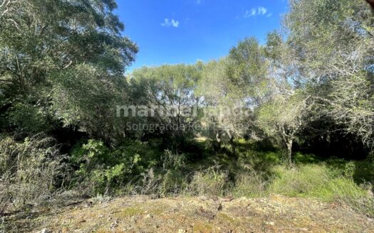 PARCELA EN SOTOGRANDE COSTA